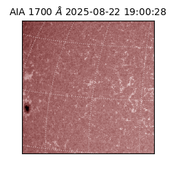 saia - 2025-08-22T19:00:28.733000