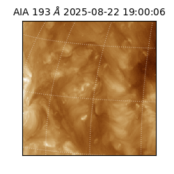 saia - 2025-08-22T19:00:06.232000