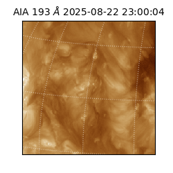 saia - 2025-08-22T23:00:04.843000