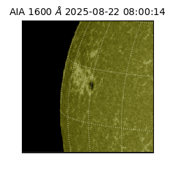 saia - 2025-08-22T08:00:14.130000