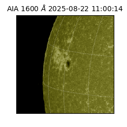 saia - 2025-08-22T11:00:14.125000