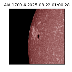 saia - 2025-08-22T01:00:28.745000