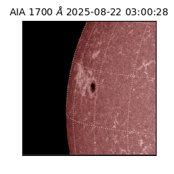 saia - 2025-08-22T03:00:28.720000