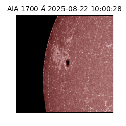 saia - 2025-08-22T10:00:28.717000