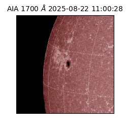 saia - 2025-08-22T11:00:28.717000