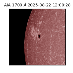 saia - 2025-08-22T12:00:28.717000