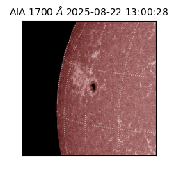 saia - 2025-08-22T13:00:28.717000