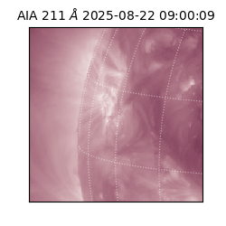 saia - 2025-08-22T09:00:09.626000