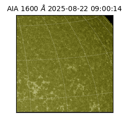 saia - 2025-08-22T09:00:14.130000