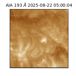 saia - 2025-08-22T05:00:04.842000