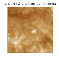 saia - 2025-08-22T07:00:04.843000