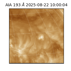 saia - 2025-08-22T10:00:04.843000