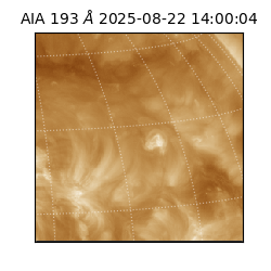 saia - 2025-08-22T14:00:04.843000