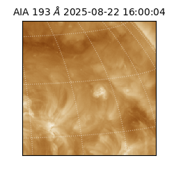 saia - 2025-08-22T16:00:04.843000