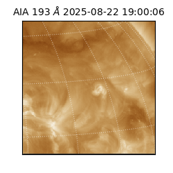 saia - 2025-08-22T19:00:06.232000