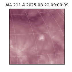 saia - 2025-08-22T09:00:09.626000