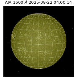 saia - 2025-08-22T04:00:14.126000