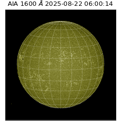 saia - 2025-08-22T06:00:14.126000