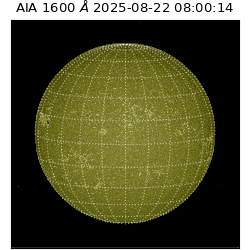 saia - 2025-08-22T08:00:14.130000