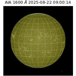 saia - 2025-08-22T09:00:14.130000