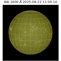 saia - 2025-08-22T11:00:14.125000