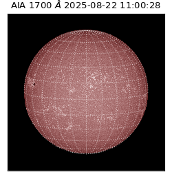 saia - 2025-08-22T11:00:28.717000