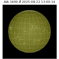 saia - 2025-08-22T13:00:14.126000