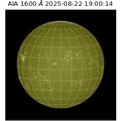 saia - 2025-08-22T19:00:14.126000