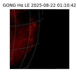 gong - 2025-08-22T01:10:42
