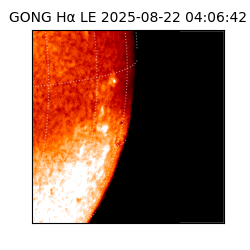 gong - 2025-08-22T04:06:42