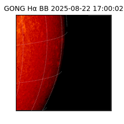 gong - 2025-08-22T17:00:02