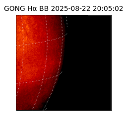 gong - 2025-08-22T20:05:02