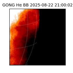 gong - 2025-08-22T21:00:02