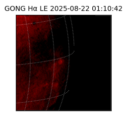 gong - 2025-08-22T01:10:42