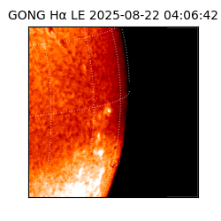 gong - 2025-08-22T04:06:42