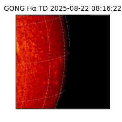 gong - 2025-08-22T08:16:22