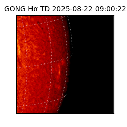 gong - 2025-08-22T09:00:22