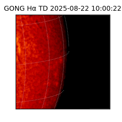 gong - 2025-08-22T10:00:22
