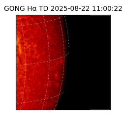 gong - 2025-08-22T11:00:22