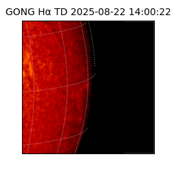 gong - 2025-08-22T14:00:22