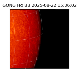 gong - 2025-08-22T15:06:02