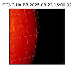gong - 2025-08-22T16:00:02