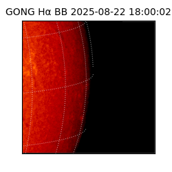 gong - 2025-08-22T18:00:02