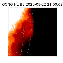 gong - 2025-08-22T21:00:02