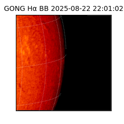 gong - 2025-08-22T22:01:02
