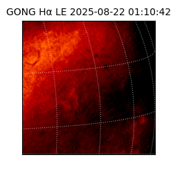 gong - 2025-08-22T01:10:42
