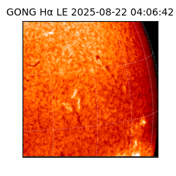 gong - 2025-08-22T04:06:42