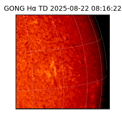 gong - 2025-08-22T08:16:22