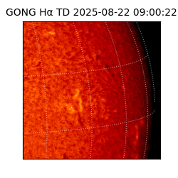gong - 2025-08-22T09:00:22
