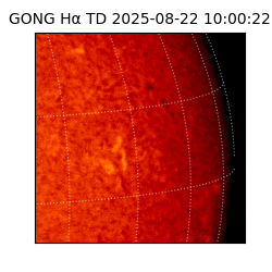gong - 2025-08-22T10:00:22
